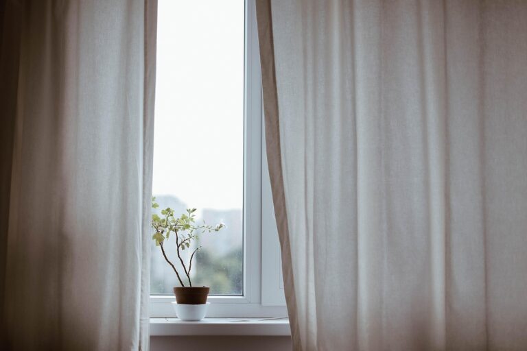 curtains, decoration, indoors, plant, nature, potted plant, window, minimalist, minimalistic, interior decoration, indoor plant