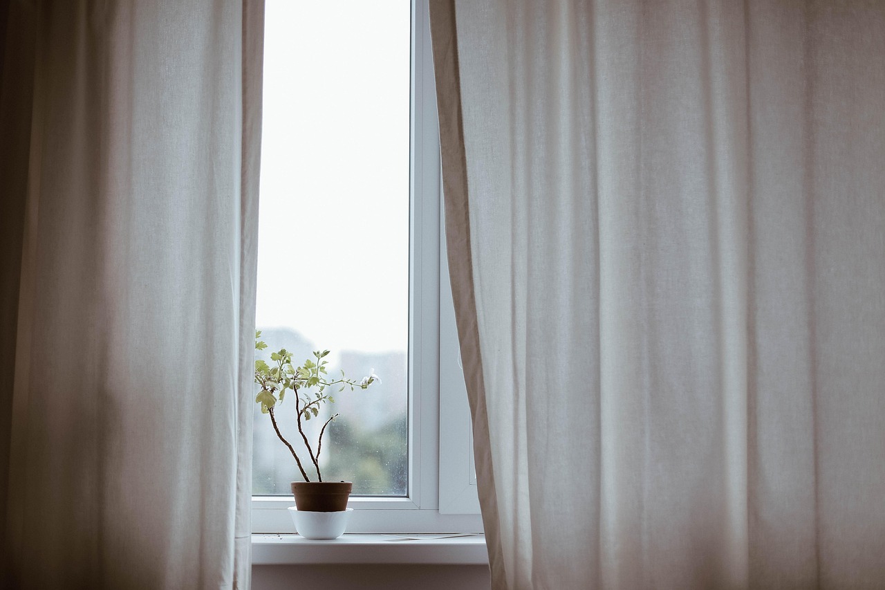 curtains, decoration, indoors, plant, nature, potted plant, window, minimalist, minimalistic, interior decoration, indoor plant