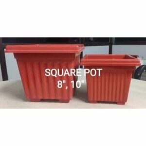 Terra Pot