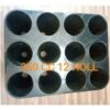 Cell Root Trainer